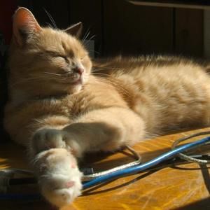 Meet your Posher, Yve